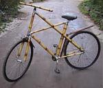 Click image for larger version. 

Name:	bamboo bike.jpg 
Views:	375 
Size:	8.1 KB 
ID:	6521